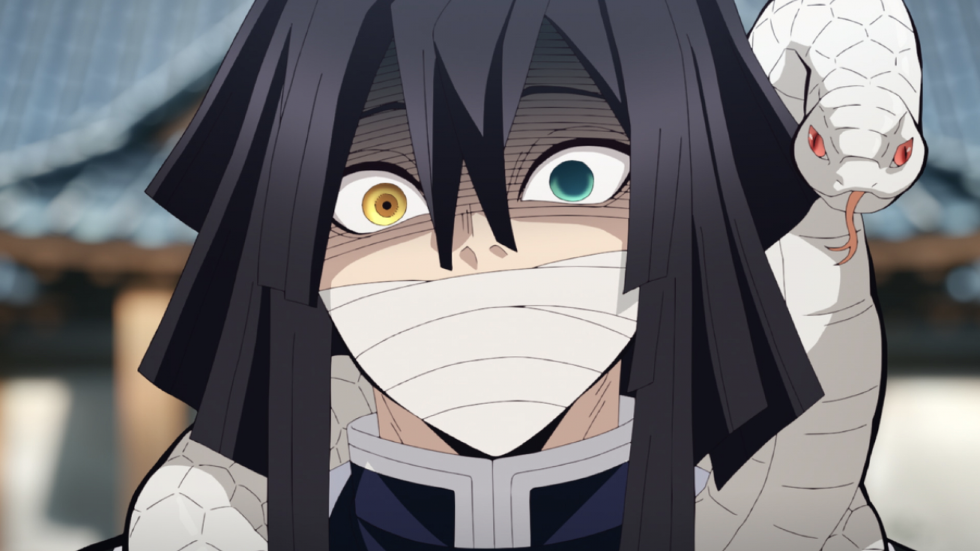 Demon Slayer: Kimetsu no Yaiba - L’entraînement des piliers - 4 Épisode