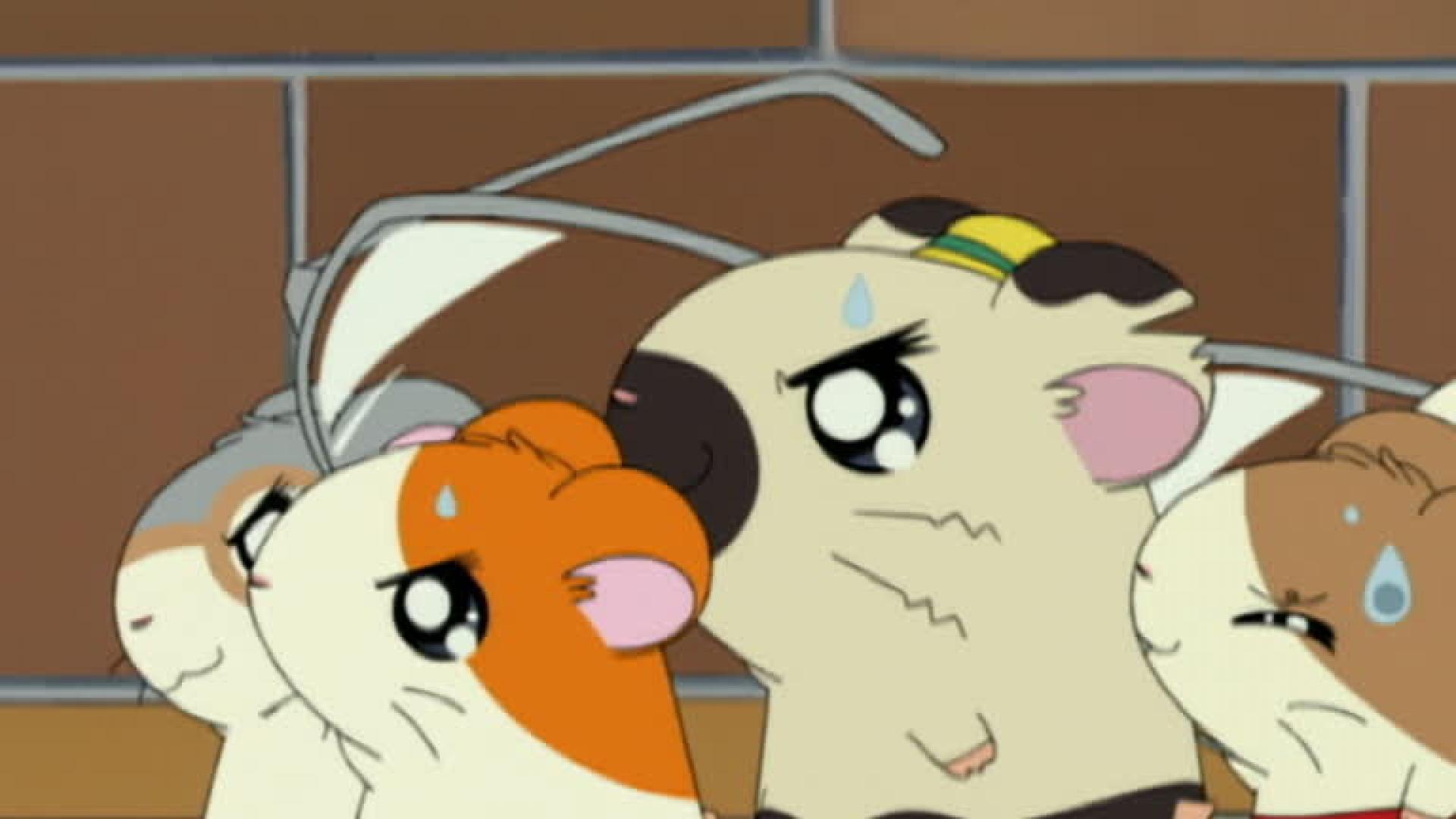 Hamtaro - 2 Épisode 29 : À la recherche des lunettes de papa