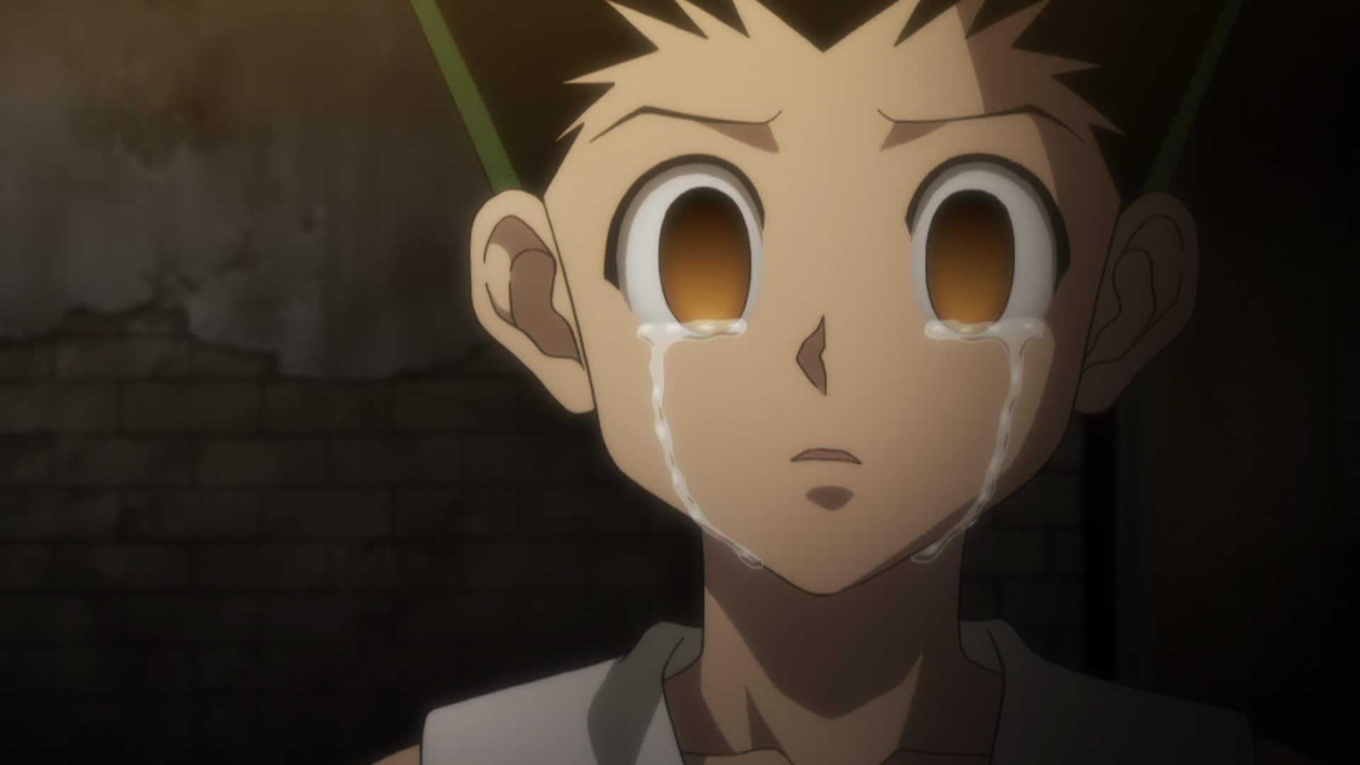 Hunter x Hunter (2011) - Arc 06 : Chimera Ant Épisode 130 : Magie et