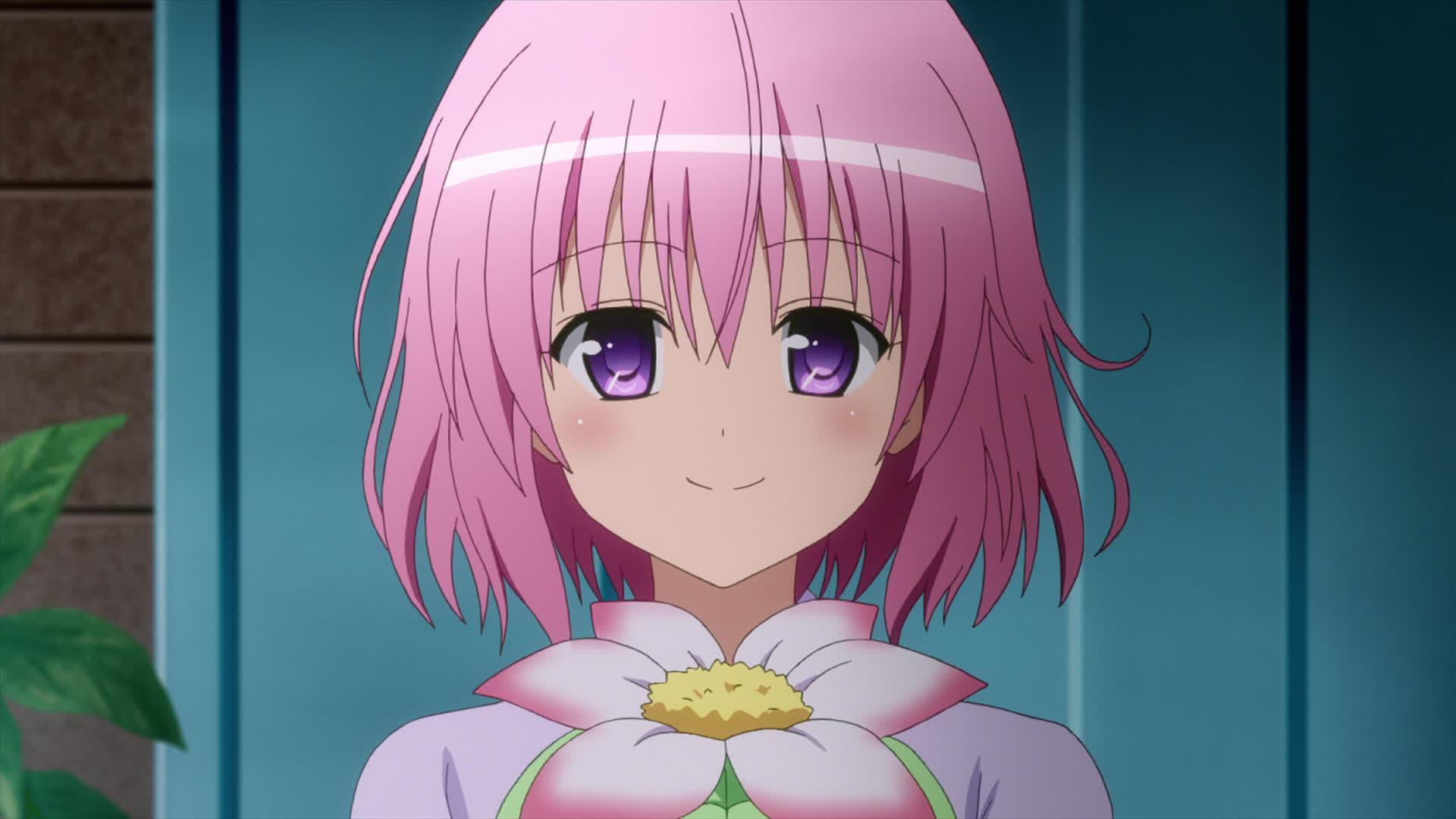 To Love-Ru - Darkness - 3 Épisode 1 : La Suite - streaming - VOSTFR